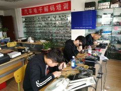 操逼嗷嗷