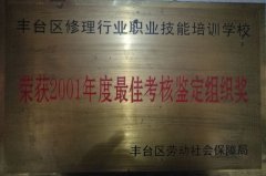 美女被插逼